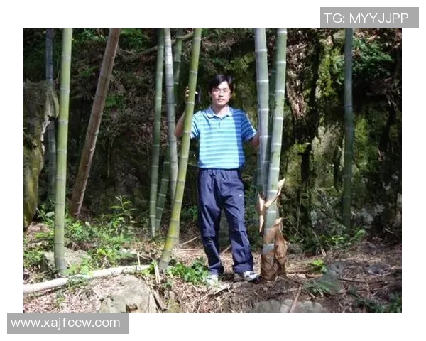 深度对话周伟分享网球人生的奋斗与梦想之路 深度对话周伟分享网球人生的奋斗与梦想之路